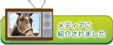 メディア紹介