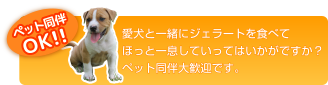 ペット同伴OK
