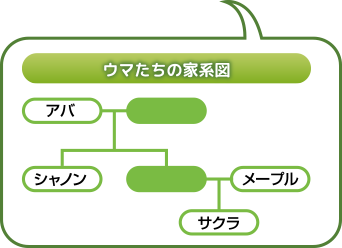家系図