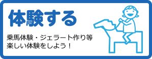 体験する