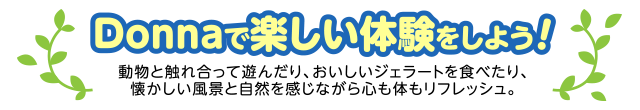 Donnaで楽しい体験をしよう！